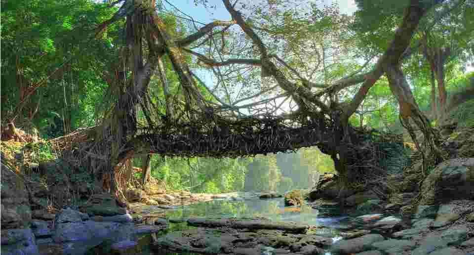 Riverside Retreats mawlynnong village